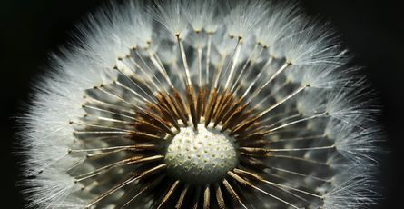 Nefes Kesici Sonuçlar